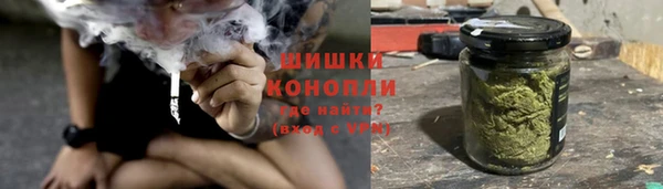 мяу мяу мука Белокуриха