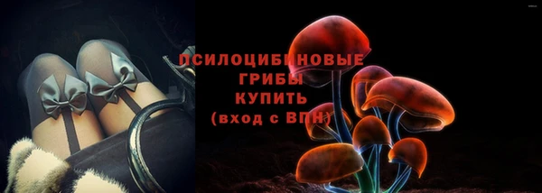 мяу мяу мука Белокуриха