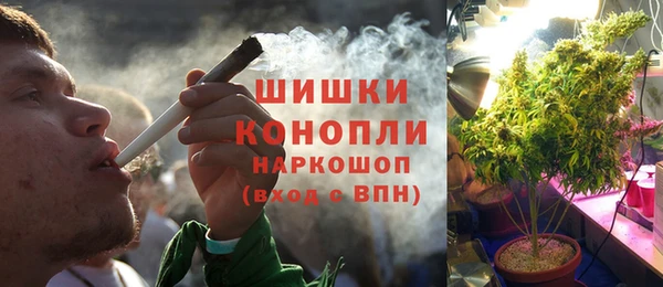 ПСИЛОЦИБИНОВЫЕ ГРИБЫ Коряжма
