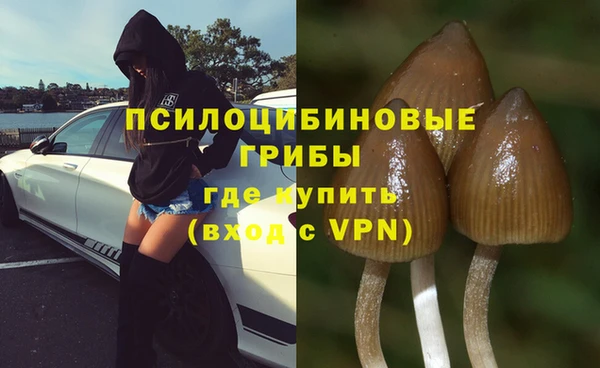 мяу мяу мука Белокуриха